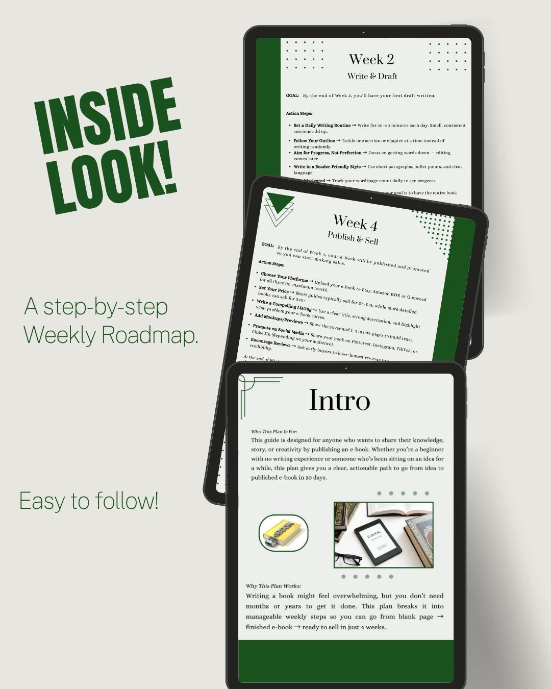 Your 30-Day E-Book Creation & Sales Plan